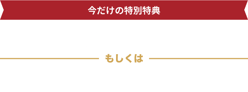 インターン参加の特別特典